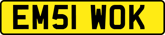 EM51WOK