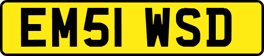 EM51WSD