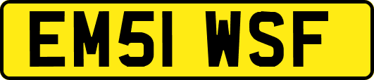 EM51WSF