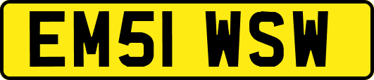 EM51WSW