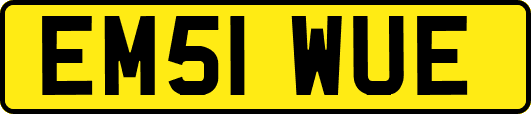 EM51WUE