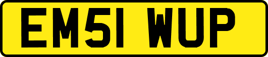 EM51WUP