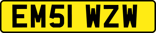 EM51WZW