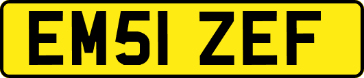 EM51ZEF
