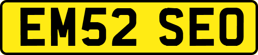 EM52SEO