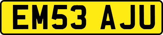 EM53AJU