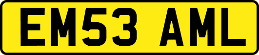 EM53AML