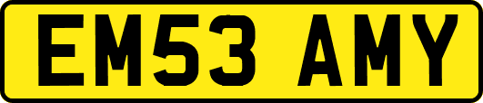 EM53AMY