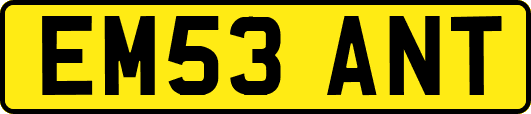 EM53ANT
