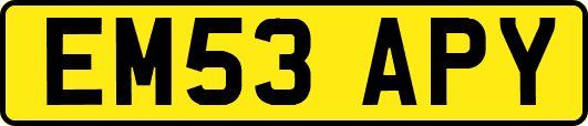 EM53APY