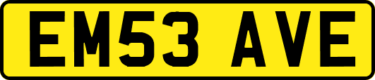 EM53AVE