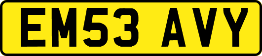 EM53AVY