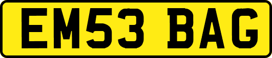 EM53BAG