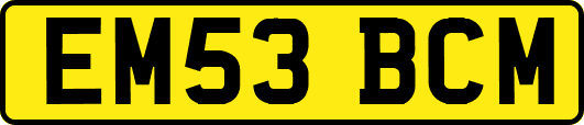 EM53BCM