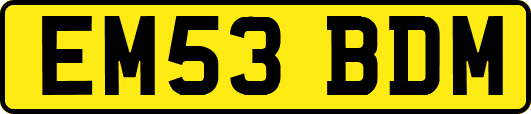 EM53BDM