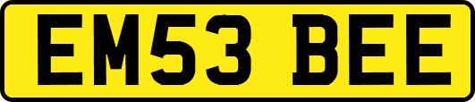 EM53BEE