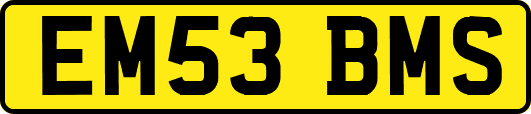 EM53BMS