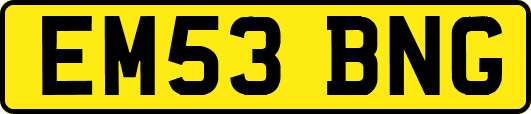 EM53BNG