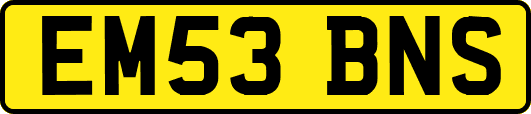 EM53BNS