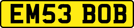 EM53BOB