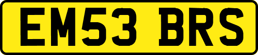 EM53BRS