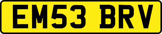 EM53BRV