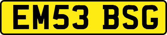 EM53BSG