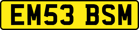 EM53BSM