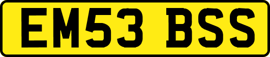 EM53BSS
