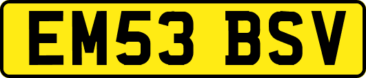 EM53BSV