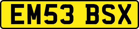 EM53BSX