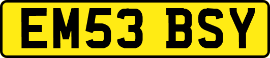 EM53BSY