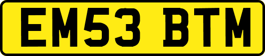 EM53BTM