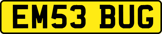 EM53BUG