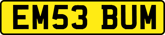 EM53BUM