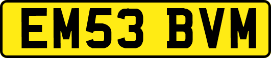 EM53BVM