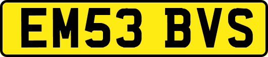 EM53BVS