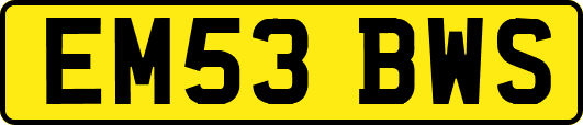 EM53BWS