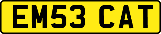 EM53CAT