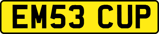 EM53CUP