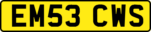 EM53CWS