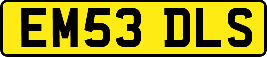 EM53DLS