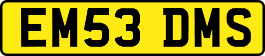 EM53DMS