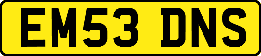 EM53DNS