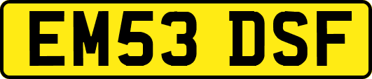 EM53DSF