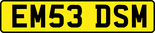 EM53DSM