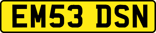 EM53DSN