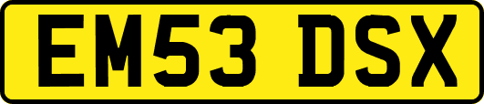 EM53DSX