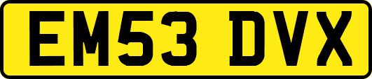 EM53DVX