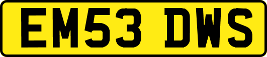 EM53DWS